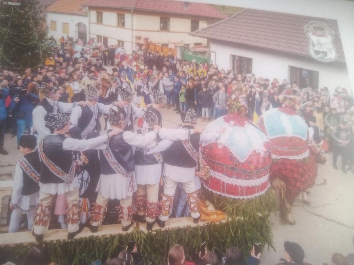 Tălmaciu Pensiunea Casa Roman المظهر الخارجي الصورة