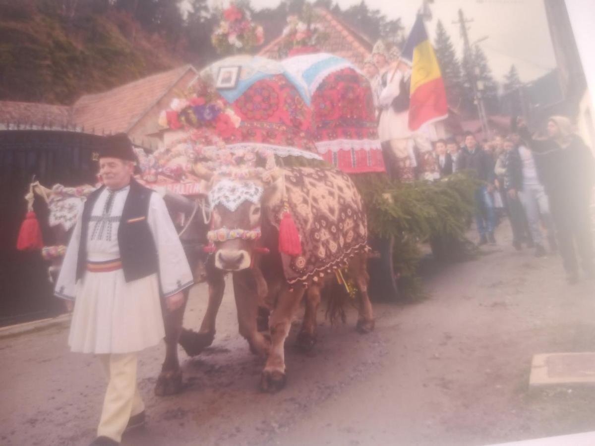 Tălmaciu Pensiunea Casa Roman المظهر الخارجي الصورة